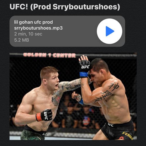 UFC artwork